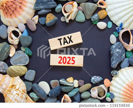 Planning tax 2025 new year symbol. Concept words Tax 2025 on beautiful wooden blocks. Beautiful black background. Beautiful sea stones shell. Business tax 2025 new year concept. Copy space. Planning tax 2025 new year symbol. Concept words Tax 2025 on beautiful wooden blocks. Beautiful black background. Beautiful sea stones shell. Business tax 2025 new year concept. Copy space. 119159830