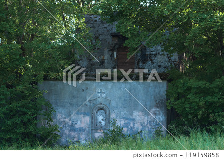 abandoned church ruins in the bush 119159858