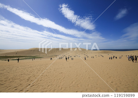 鳥取縣鳥取市鳥取沙丘 119159899