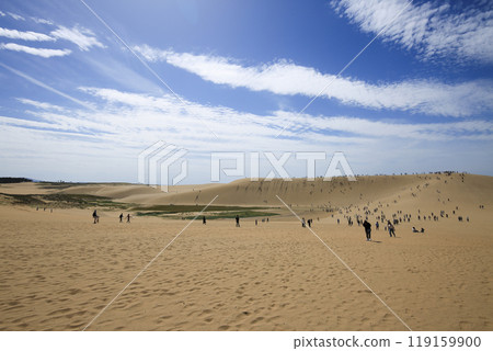 Tottori Sand Dunes, Tottori City, Tottori Prefecture Tottori Sand Dunes, Tottori City, Tottori Prefecture 119159900
