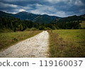 bright path through the landscape to the rocks 119160037