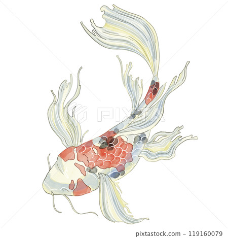 Japanese Koi fish, top view. Watercolor illustration of a decorative carp in pastel colors. For printing on dishes, postcards, notebooks or horoscopes. Registration of aquarium fish products and feeds 119160079