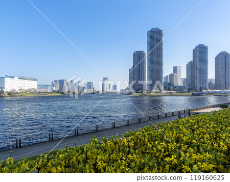 Buildings and tower apartments along the Sumida River and Harumi Canal / Tokyo, Japan Buildings and tower apartments along the Sumida River and Harumi Canal / Tokyo, Japan 119160625