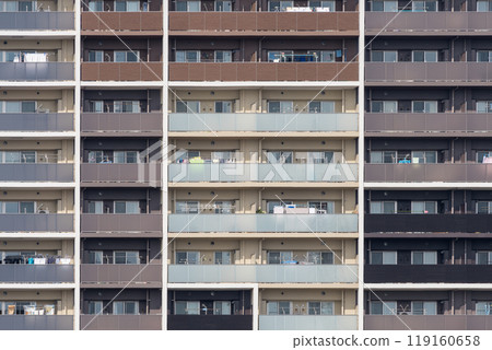 Large Mansion 119160658