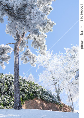 Park in the top of the mountain in winter 119160991