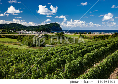 A seaside town with vineyards A seaside town with vineyards 119161103
