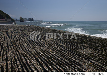 日高海岸的乾海帶 日高海岸的乾海帶 119161692