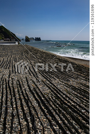 日高海岸的乾海帶 日高海岸的乾海帶 119161696