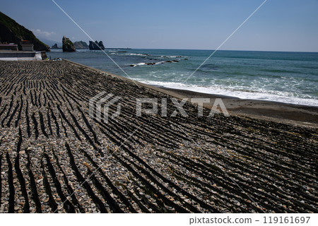 日高海岸的乾海帶 日高海岸的乾海帶 119161697