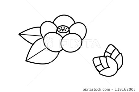 Simple camellia flower and bud line drawing illustration set Simple camellia flower and bud line drawing illustration set 119162005