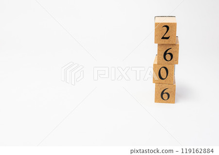 木塊編號 2606 119162884