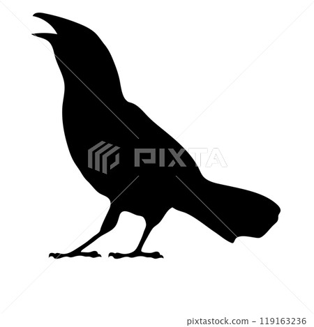 Bird Raven Crow Black Silhouette for Icon. 119163236
