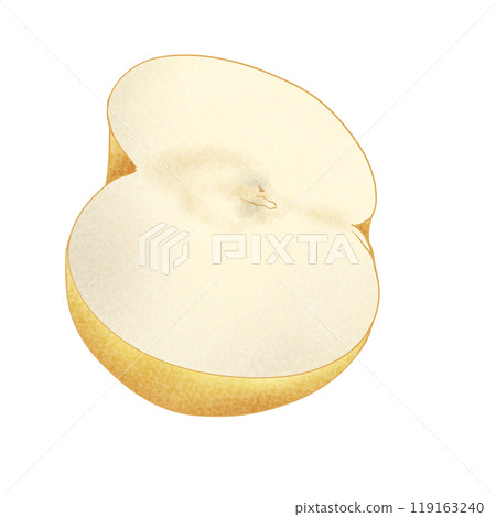 日本梨橫切面插圖素材 日本梨橫切面插圖素材 119163240