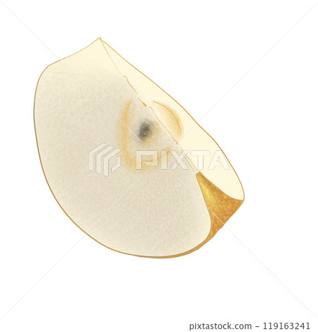 日本梨橫切面插圖素材 119163241