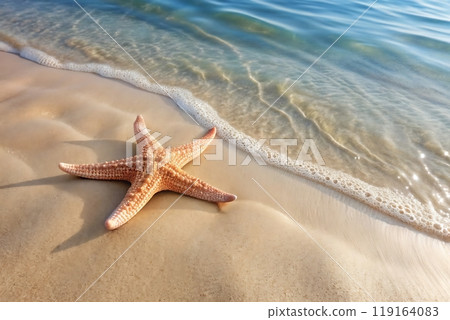 Clear sea water and starfish on sandy summer beach Clear sea water and starfish on sandy summer beach 119164083