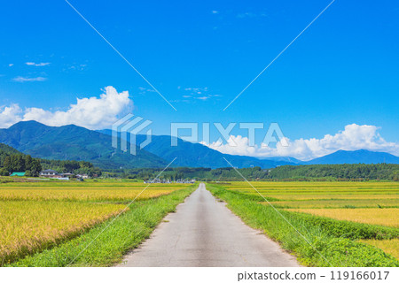 稻田風景 稻田風景 119166017