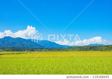 藍天和國家風景 藍天和國家風景 119166045