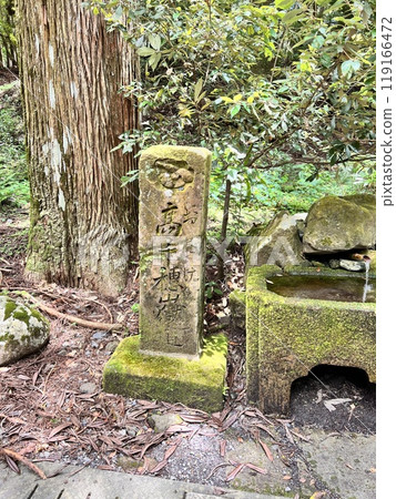 Power spot in the forest Power spot in the forest 119166472