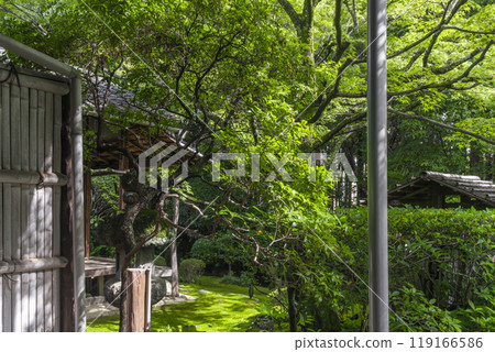 Myoshinji Temple Subtemple Keishun-in: The Abbot's Chamber and the Garden of Meditation 119166586
