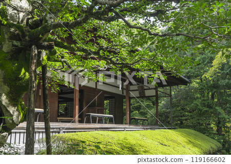 從神如庭園眺望妙心寺、慶春院、北條 119166602