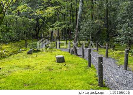 妙心寺副寺、慶春院、真如庭園後面的苔蘚花園 妙心寺副寺、慶春院、真如庭園後面的苔蘚花園 119166606