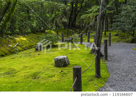 妙心寺副寺、慶春院、真如庭園後面的苔蘚花園 妙心寺副寺、慶春院、真如庭園後面的苔蘚花園 119166607