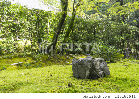 妙心寺副寺、慶春院、真如庭園後面的苔蘚花園 妙心寺副寺、慶春院、真如庭園後面的苔蘚花園 119166611