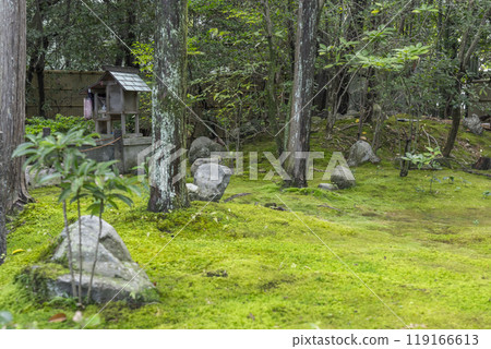 The moss garden at the back of the Shinnyo Garden at Keishun-in, a subtemple of Myoshinji Temple The moss garden at the back of the Shinnyo Garden at Keishun-in, a subtemple of Myoshinji Temple 119166613