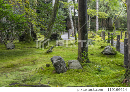 The moss garden at the back of the Shinnyo Garden at Keishun-in, a subtemple of Myoshinji Temple 119166614