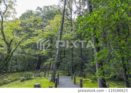 Stroll along the garden path at Keishun-in, a subtemple of Myoshinji Temple 119166625