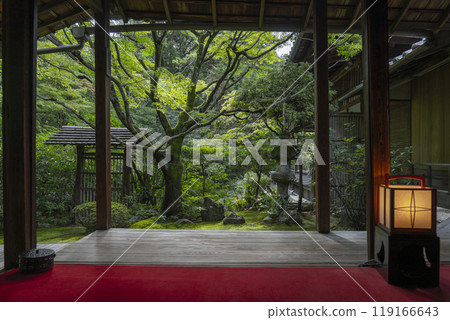 從書院看妙心寺慶春院侘庭 從書院看妙心寺慶春院侘庭 119166643