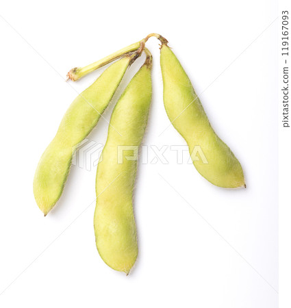 Fresh pods of edamame, green soybeans, from above. Raw and uncooked immature soybeans, Glycine max, used boiled or steamed and salted, as a common side dish and appetizer in Japanese cuisine. Photo. Fresh pods of edamame, green soybeans, from above. Raw and uncooked immature soybeans, Glycine max, used boiled or steamed and salted, as a common side dish and appetizer in Japanese cuisine. Photo. 119167093