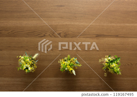 Plants on a wooden table 119167495