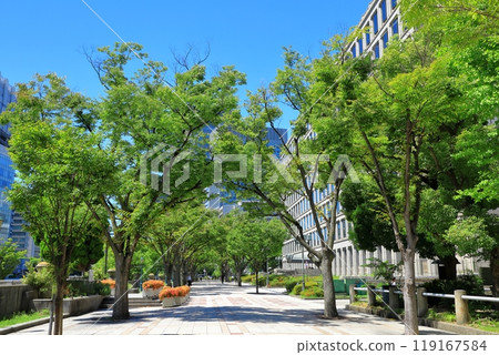 大阪市役所欅並木街 三重串長廊 119167584