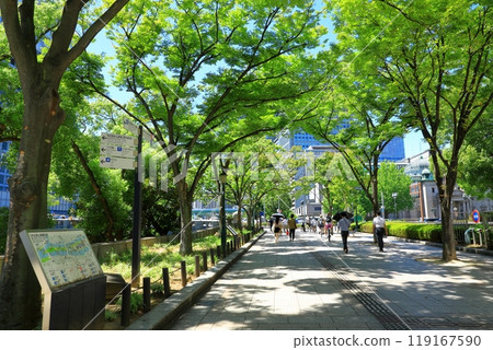 大阪市役所欅並木街 三重串長廊 大阪市役所欅並木街 三重串長廊 119167590