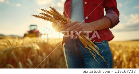Field of plenty - harvesting wheat with tractors, illustrating dedication of farmers, golden spikes of wheat, crucial role of modern machinery in sustaining agricultural productivity. 119167738