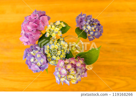 花瓶裡的繡球花切花 119168266