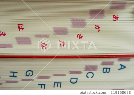 英日字典和日英字典 英日字典和日英字典 119168658