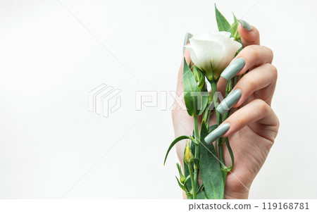 A hand holding a delicate white flower with green leaves against a light background 119168781