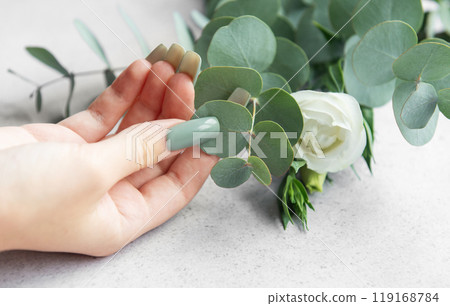 A hand gently touches eucalyptus leaves while preparing a floral arrangement A hand gently touches eucalyptus leaves while preparing a floral arrangement 119168784