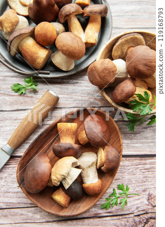 Freshly harvested mushrooms arranged on a wooden table with a knife Freshly harvested mushrooms arranged on a wooden table with a knife 119168793