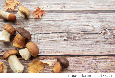 Freshly foraged mushrooms and fallen leaves arranged on rustic wooden surface in autumn setting 119168794