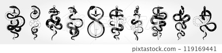 Snake icon. Logo design reptile collection. Animal graphic black silhouette, sign tattoo skin serpent, cobra and anaconda. Symbol knife viper poison. Element sword. Vector New Year isolated emblem set 119169441