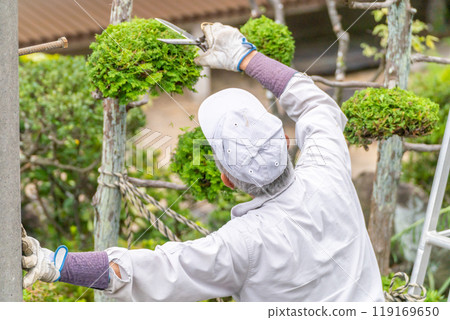在職年長者為當地社區貢獻 花園樹木修剪服務 119169650