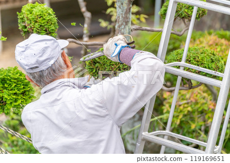 Working seniors contribute to the local community Garden tree pruning service Working seniors contribute to the local community Garden tree pruning service 119169651