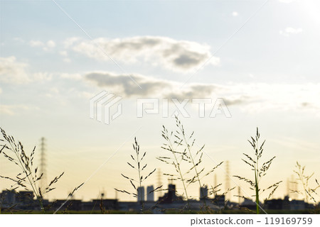A warm and tranquil evening sky 119169759