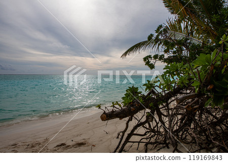 Serene beach at Maldives with gentle waves and lush greenery under a tranquil, cloudy sky Serene beach at Maldives with gentle waves and lush greenery under a tranquil, cloudy sky 119169843