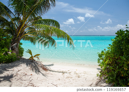 A serene tropical paradise in the Maldives with vibrant turquoise waters and lush palm trees on a sunny day A serene tropical paradise in the Maldives with vibrant turquoise waters and lush palm trees on a sunny day 119169857