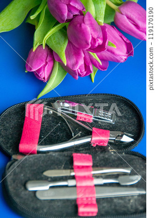 Tools and cosmetics needed for nail styling on a white background. 119170190