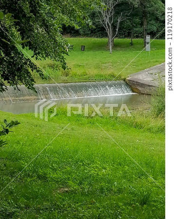 Green natural meadow with grass and beautiful sky Green natural meadow with grass and beautiful sky 119170218